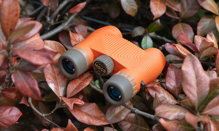 Standard Issue 8x25 Binocular | Poppy Orange